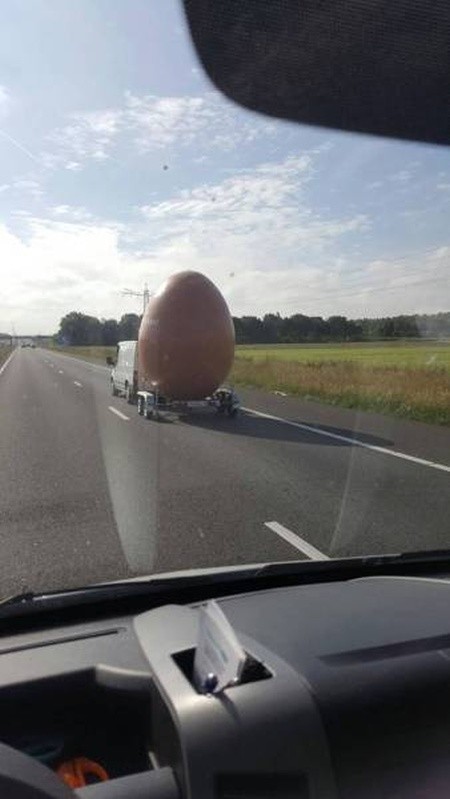 Просто гигантское яйцо 