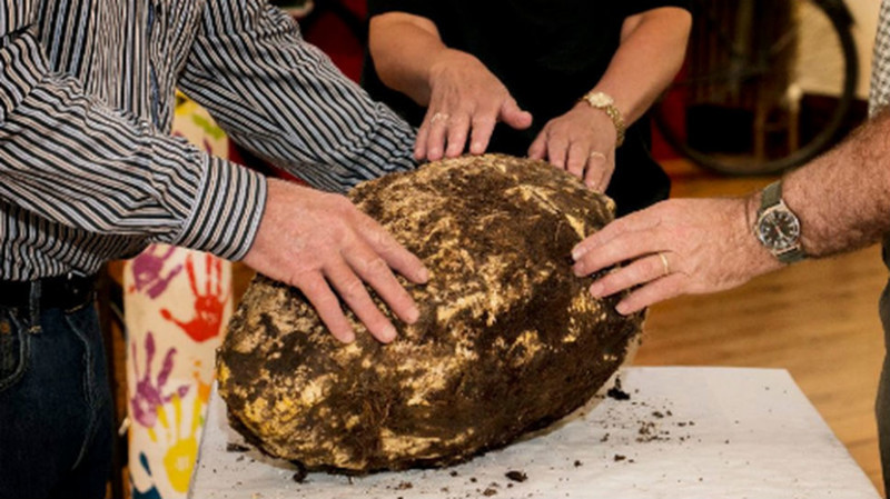 В ирландском болоте нашли 10-килограммовый кусок масла возрастом 2000 лет