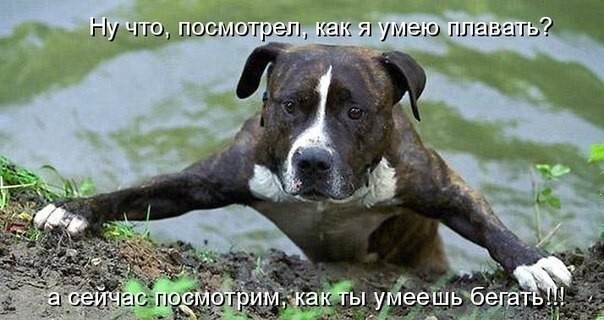Убойные приколы