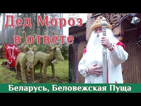 А что бы вы спросили у Деда Мороза? Неожиданная встреча в белорусском лесу 