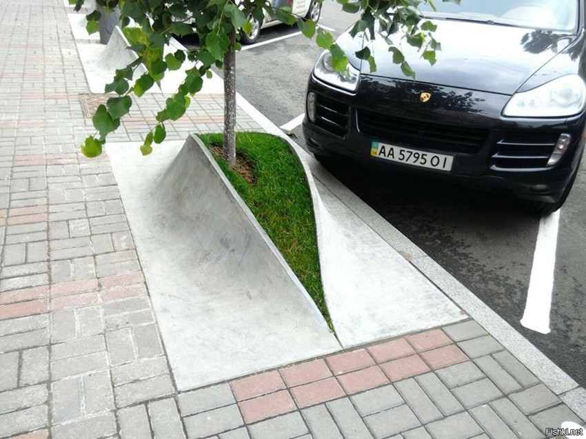 Новое решение для защиты деревьев от автомобилей