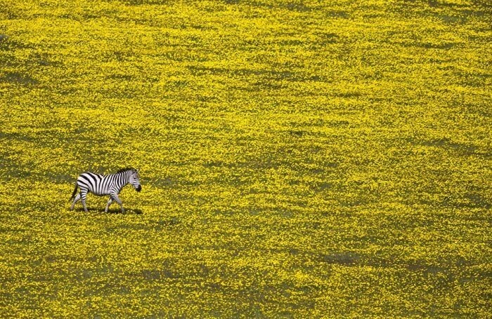 Фотографии с конкурса National Geographic Travel