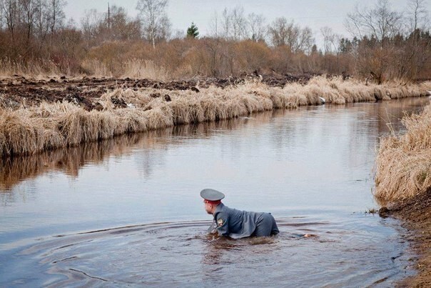 Веселые картинки