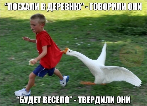 Веселые картинки