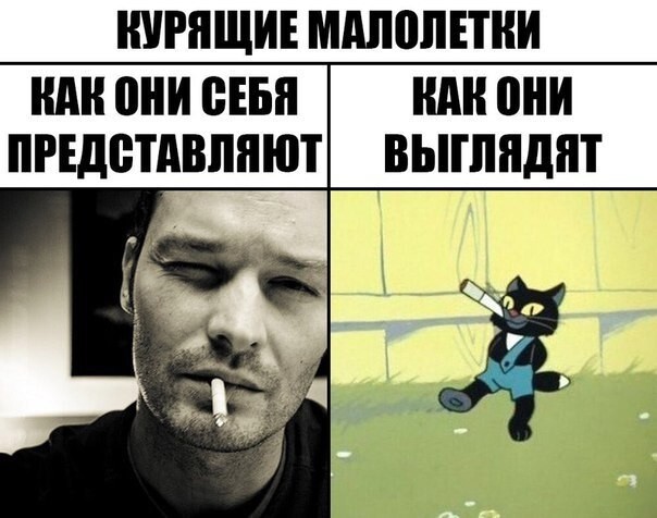 Веселые картинки