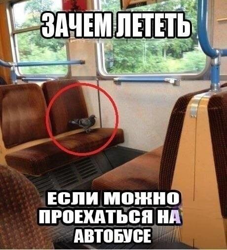 Веселые картинки