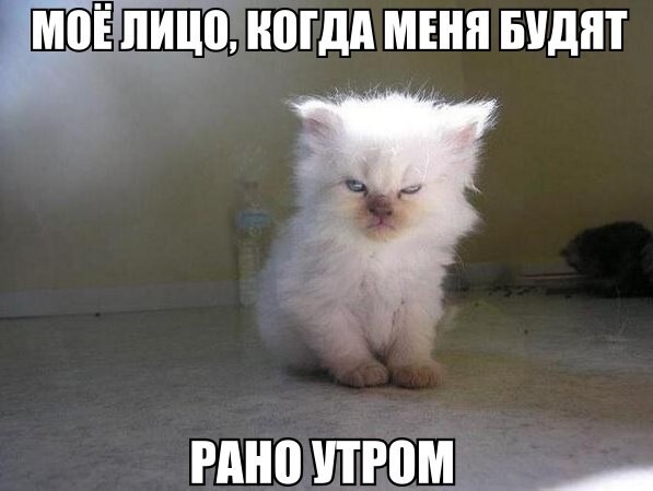 Веселые картинки