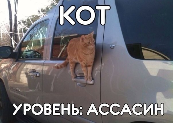 Веселые картинки
