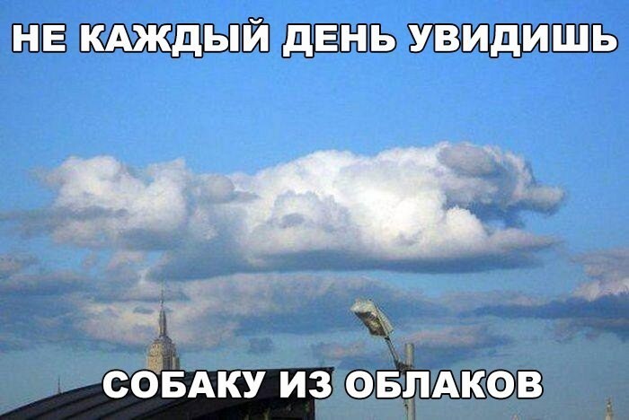 Сегодня только юмор!))