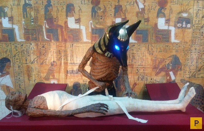Необычные результаты исследования мумий