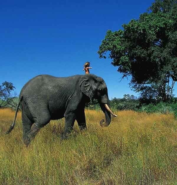 Почти как Маугли: детство маленькой девочки проходит в окружении диких животных в Африке