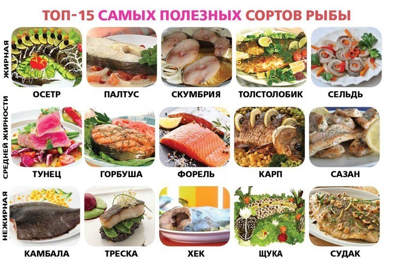 Кулинарные шпаргалки