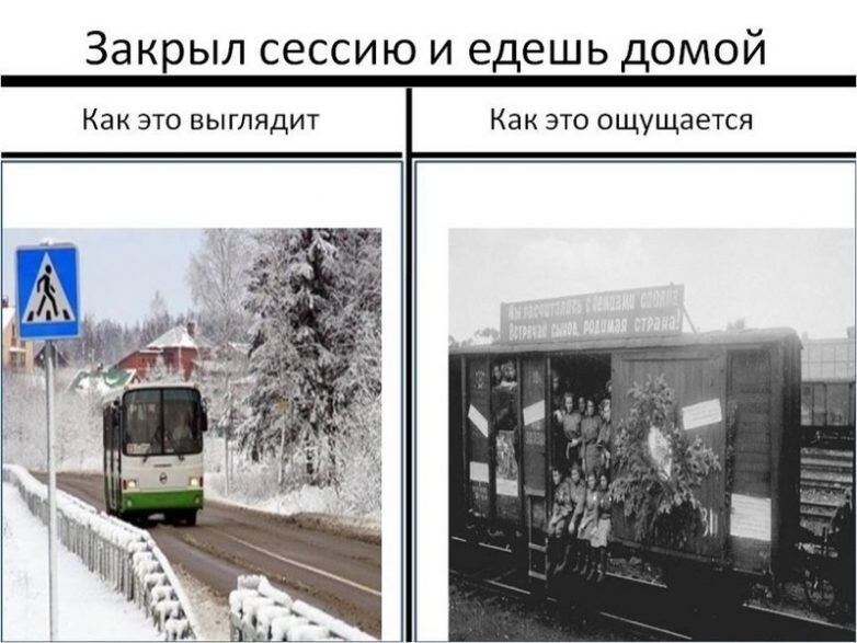 Приколы «от сессии до сессии»