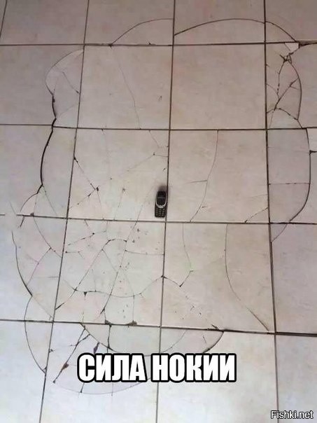 Из солянки