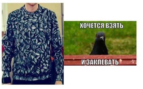 Смешные картинки!