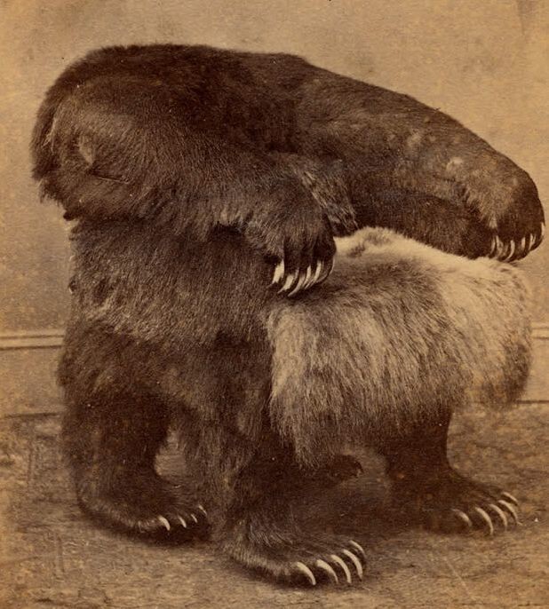 Знаменитый сибирский шестилапый медведь.