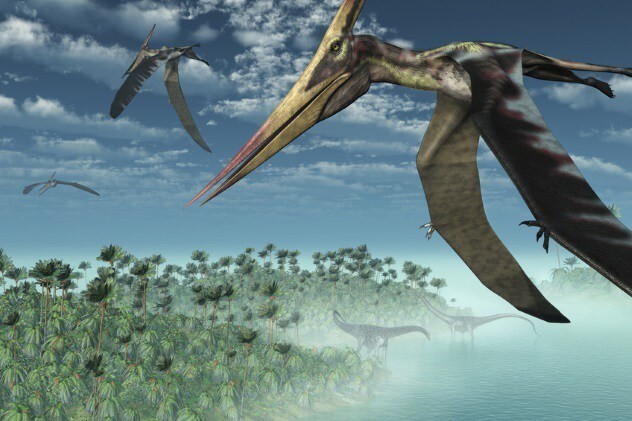 Птерозавры были динозаврами
