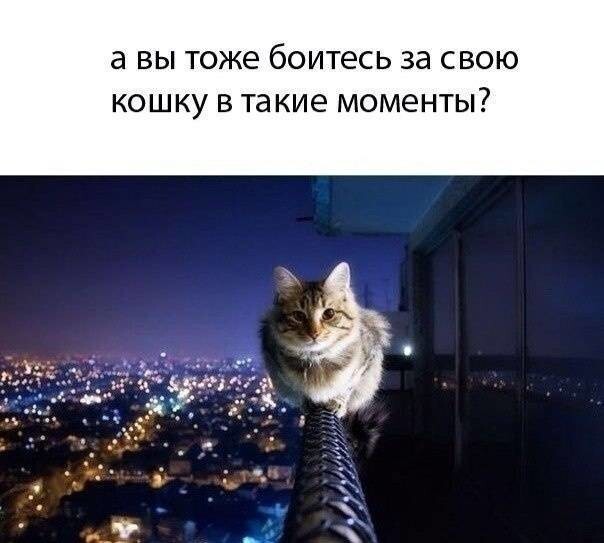 Смешные картинки