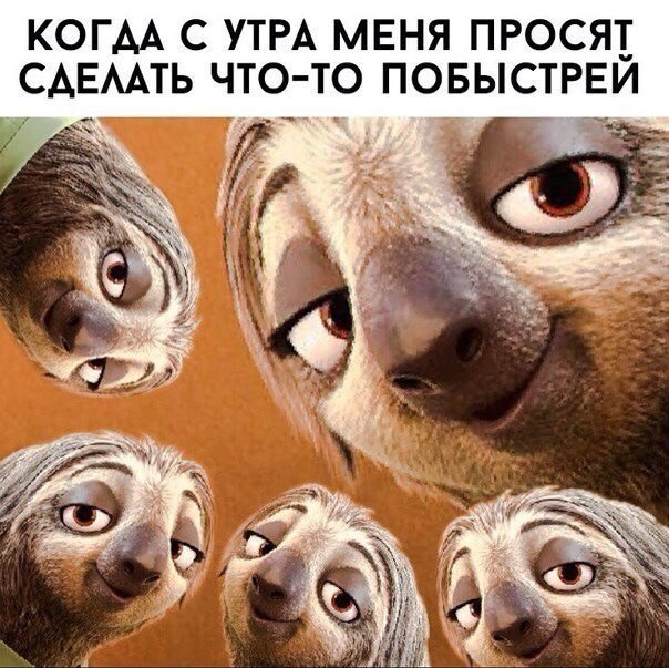 Смешные картинки