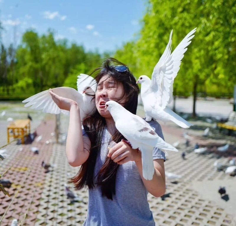 Девушка устроила милую фотосессию с голубями