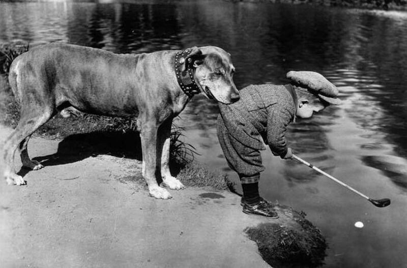 Собака защищает своего юного хозяина от неприятностей, 1920