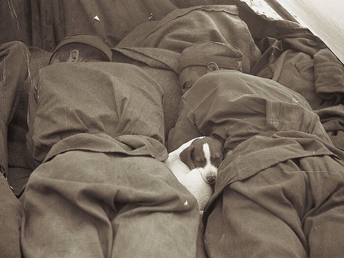 Советские солдаты в Польше отдыхают со своим лучшим другом, 1945