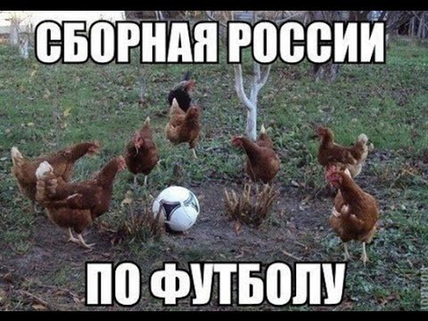 Сборная России по футболу 