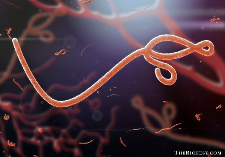 1. Лихорадка Эбола