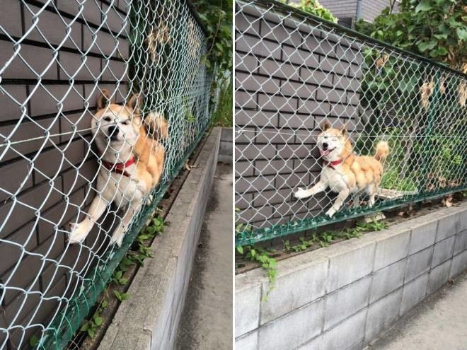 То неловкое чувство, когда