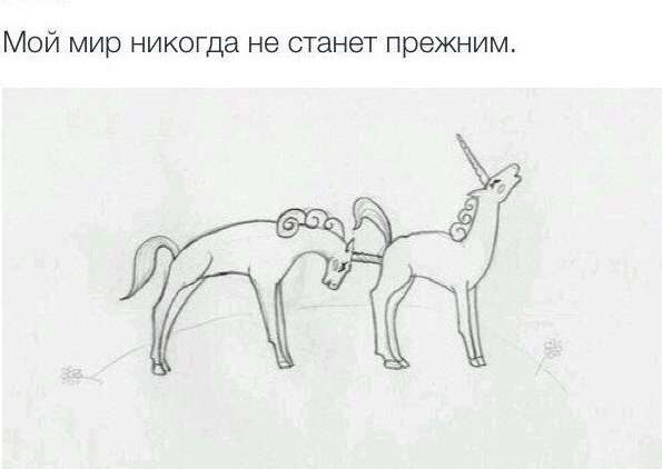 Смешные и пошлые картинки