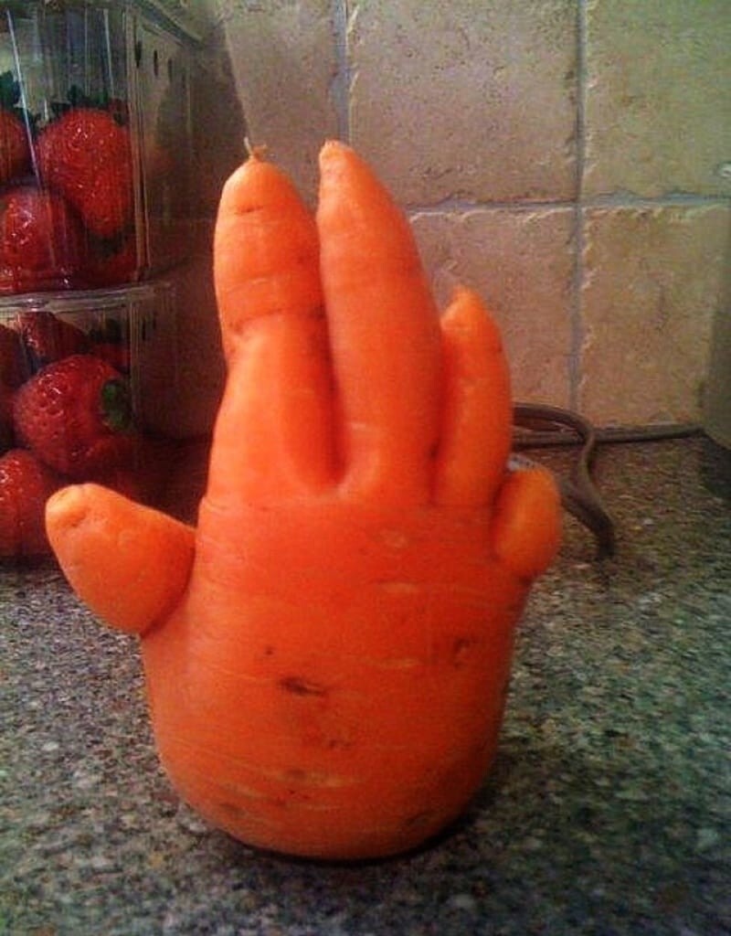 9. Морковка, дай пять!