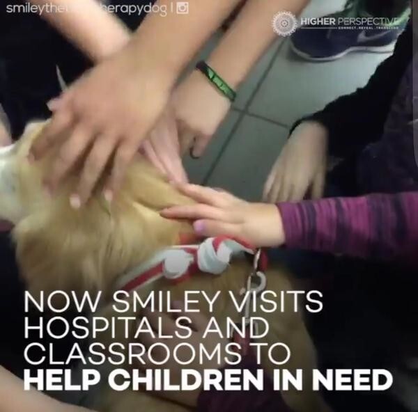 Теперь Смайли посещает больницы и школы, помогая нуждающимся детям.