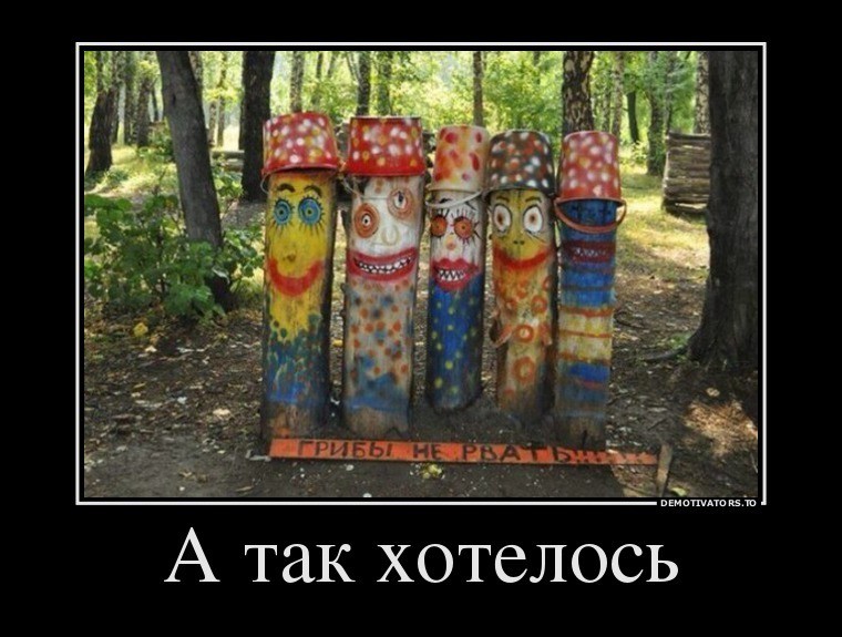 Чудо юда