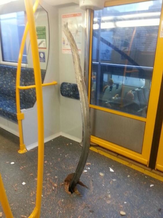 Инцидент в австралийском поезде