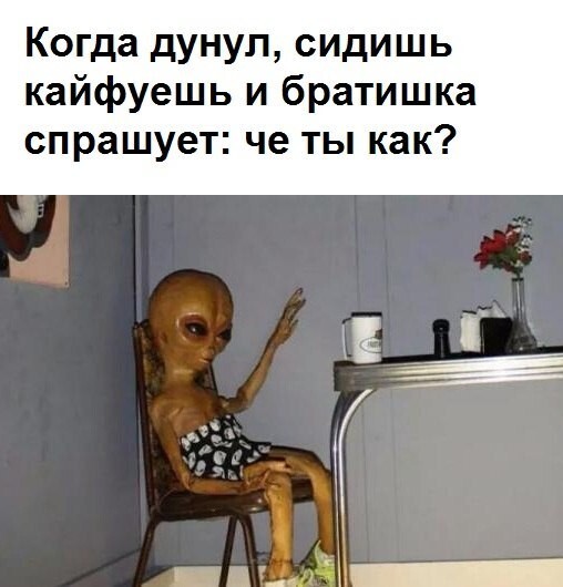 Смешные картинки