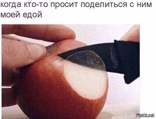 Из солянки