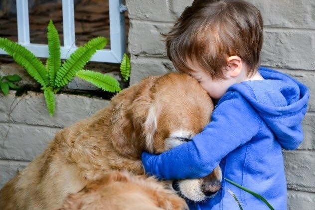 Собакам нравится, когда их обнимают