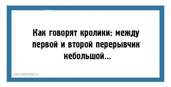 Саркастическо-юмористические открытки с неожиданным взглядом на жизнь