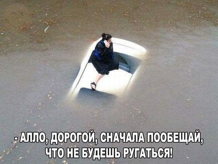 Дорогой 
