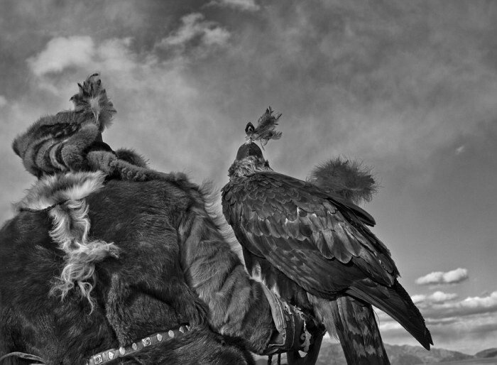 Уходящие традиции: казахское искусство охоты с золотыми орлами