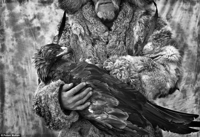 Уходящие традиции: казахское искусство охоты с золотыми орлами