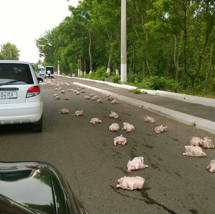 Неподдельный мир: 20 курьезных фотографий, сделанных в нужный момент