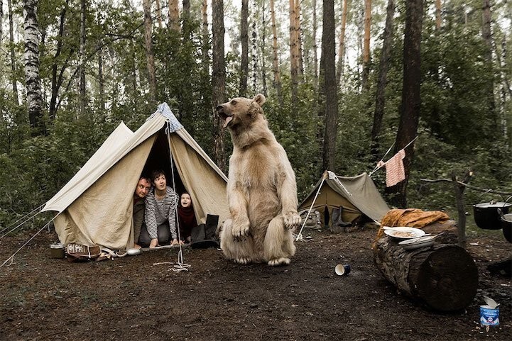 Домашний медведь Степан снялся в фотосессии