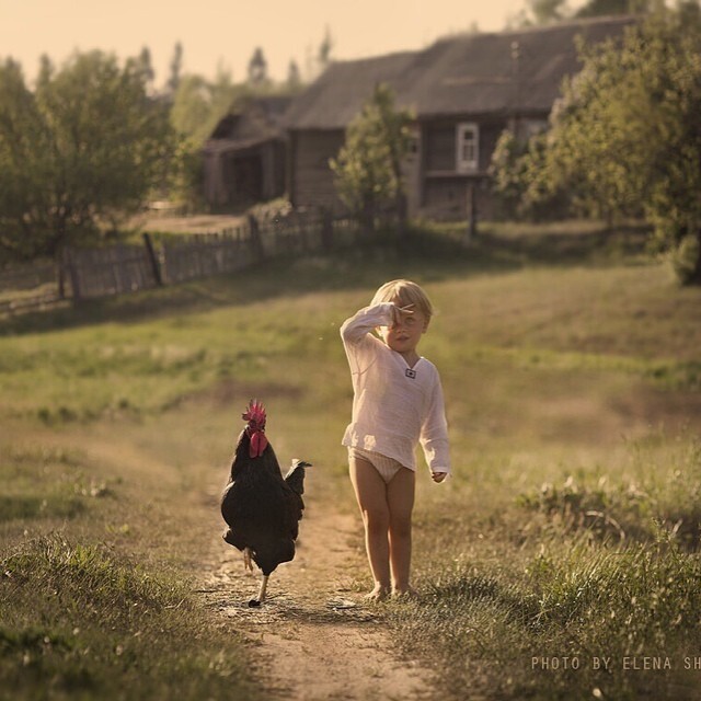 21 невероятно теплых фотографий про лето в деревне  