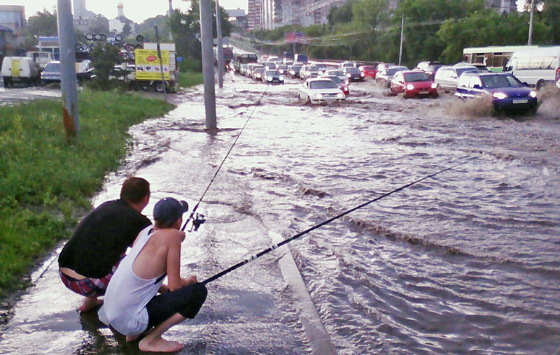 Свежая подборка автоприколов