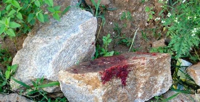Убийство в Санто-Доминго