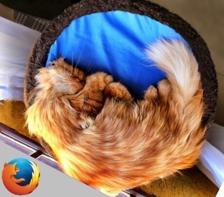 9. А с правильно подобранными аксессуарами они могут успешно косплеить Firefox.