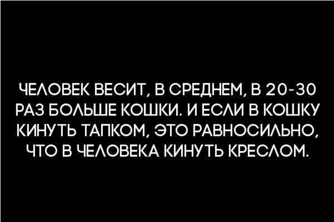 0,12 секунд достаточно, чтобы влюбиться