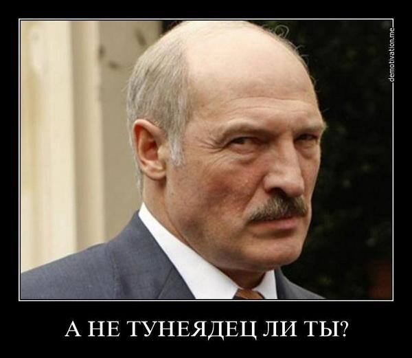 Почти полмиллиона долларов заплатили белорусские алкоголики и тунеядцы 