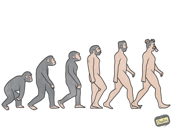 Точно эволюция? 